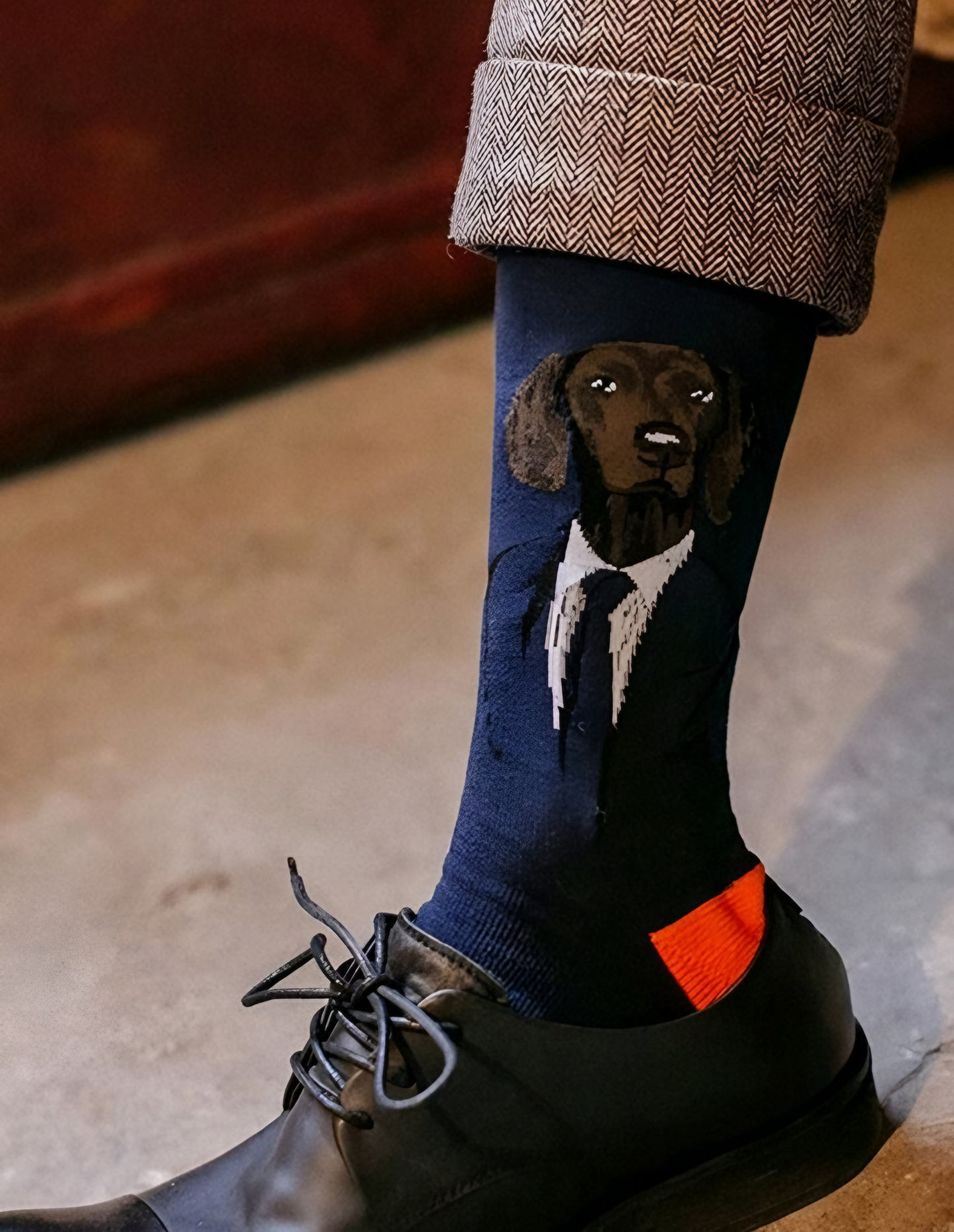 Mr Dog Socks