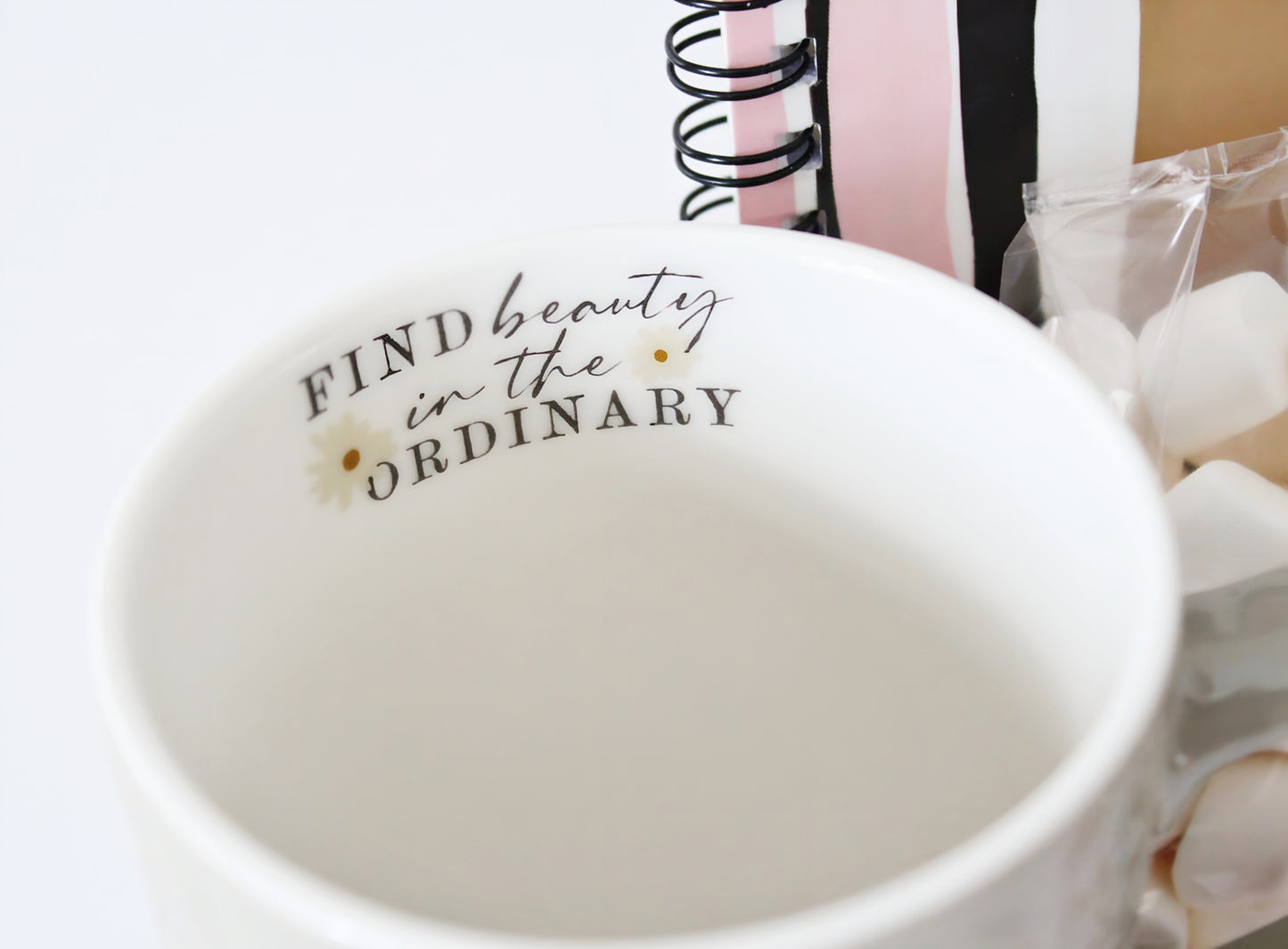 The BEAUTY IN THE ORDINARY Box