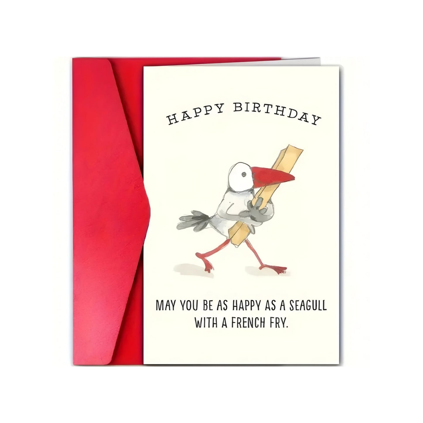 Seagull Birthday Card