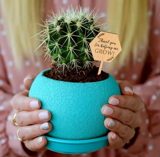 Helping Me Grow Wooden Sign
