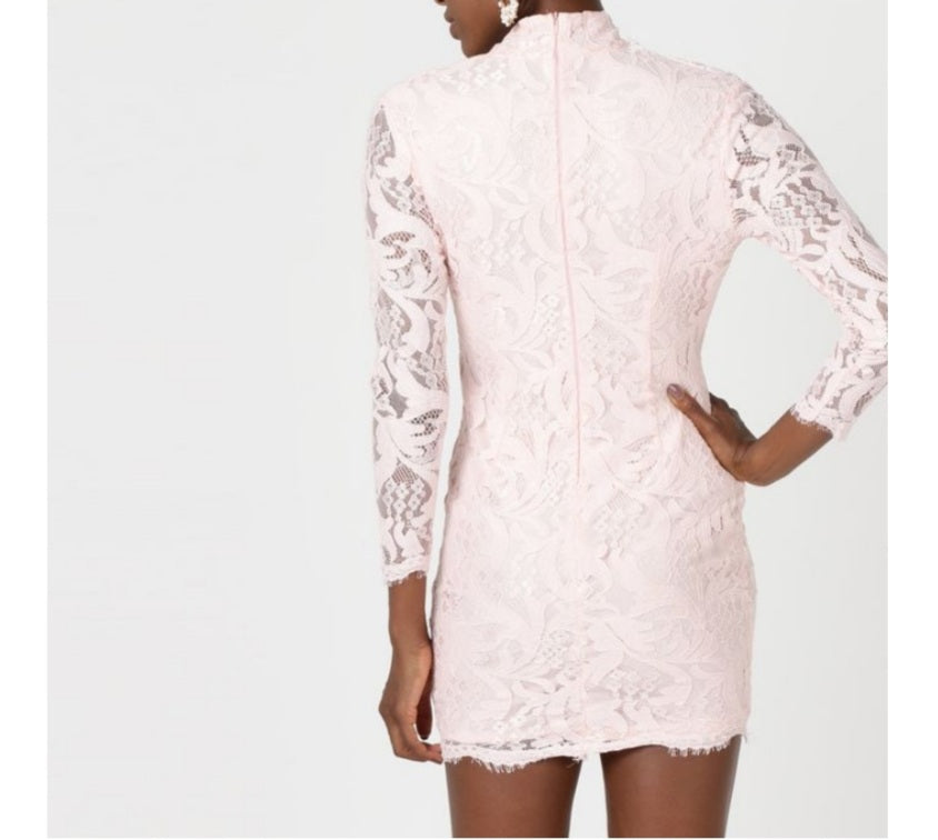 Blush Lace Bodycon Dress (NEW)